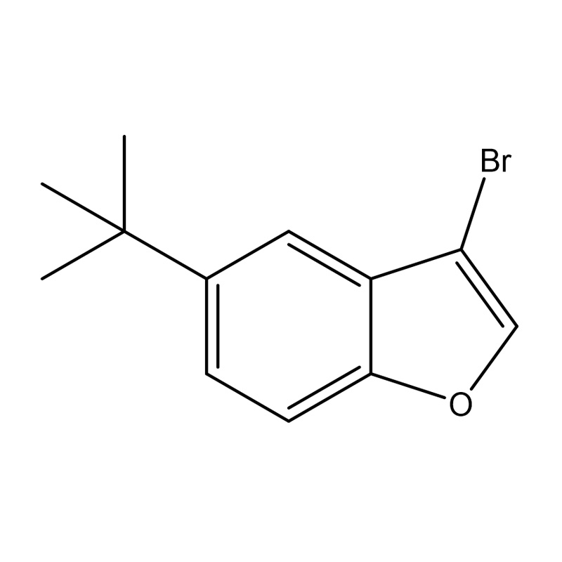 3-브로모-5-tert-부틸벤조푸란